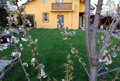 Casa individuala | 310mp | 5 camere | Unirea | Garaj | Foisor - 24