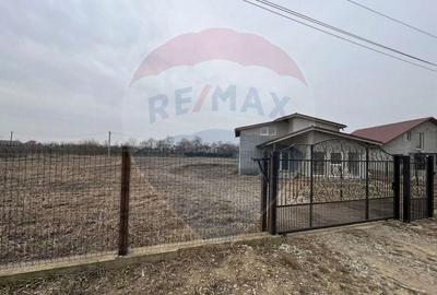 Casă cu 6 camere cu Teren 2952 Mp în Colceag - 14