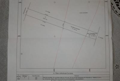 Iuliu Hațeganu Pasaj Nicolae Grigorescu - 4