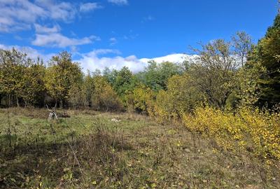 Sat Faget, Com. Drajna, jud. Prahova - comision 0%! - 8