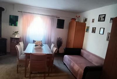 Valea Borcutului, casa 23 ari teren - 2