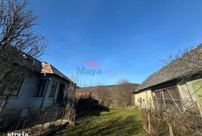 Casă cu 3 camere cu Teren 1350 Mp în Mica - 8