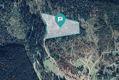 Teren 36000 mp, Borsec - 3