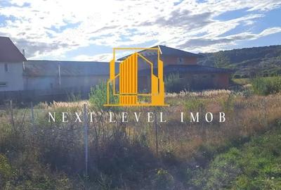 Teren de 4924 mp, în Purcăreni (Micești) - 3