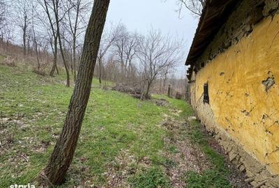 Teren de 2038 mp, în Ghercești - 5