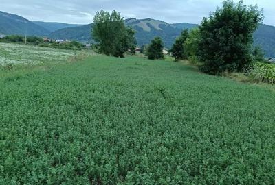 Spațiu comercial, în Dofteana - 1