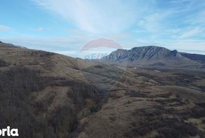 Teren de 1271 mp, în Livezile - 3