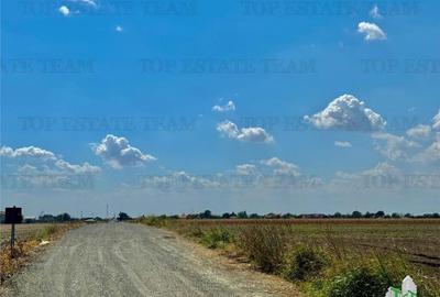 Teren de 17235 mp, în Frumușani - 3