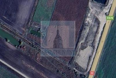 Teren extravilan de vanzare in Harman - 5