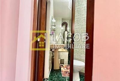 Casa la munte, comuna Bicazu Ardelean, jud. Neamt - 18