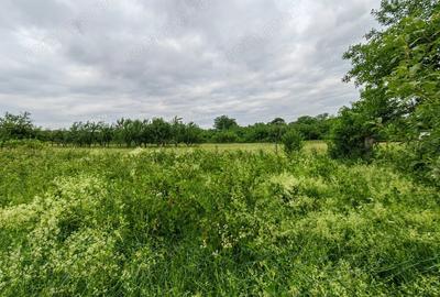 Teren de 18645 mp, în Sântămăria de Piatră - 13