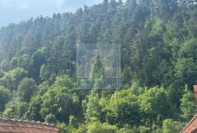 Casă renovată integral, mobilată și utilată - Șchei, Brașov Casă renovată integral, mobilată și utilată - Șchei, Brașov - 12