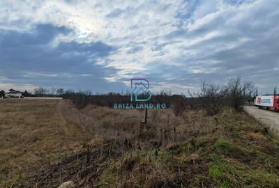 Straulesti, Aeroportului, teren 4000mp, deschidere 27.8m Straulesti, Aeroportului, teren 4000mp, deschidere 27.8m - 6