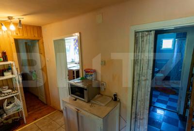 Casa de vanzare in Rovina(Branisca) - 24