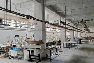 Inchiriere hala industriala - 16