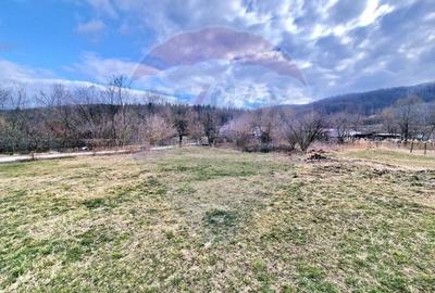 Teren Construcții intravilan de 2286 mp, în Vest - 3