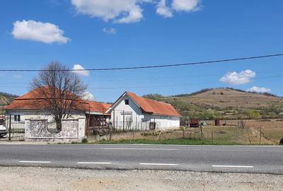 Teren de 3544 mp, în Uileacu de Criș - 5