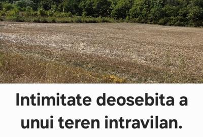 Spațiu comercial, în Sicrita - 6