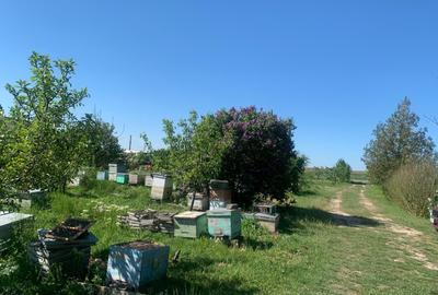 Fermă de vânzare în com. Deleni - DN3 - 10.680 mp - 84 m deschidere - 29