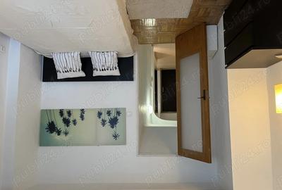 Apartament de inchiriat Piata Victoriei - 2
