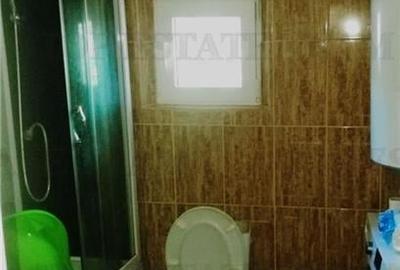 Casa de vanzare in Vasilati, 106 mp, teren 533 mp, deschidere 25 m - 7