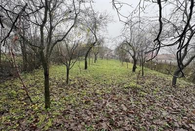 Casă cu 3 camere cu Teren 1114 Mp în Vechea - 9