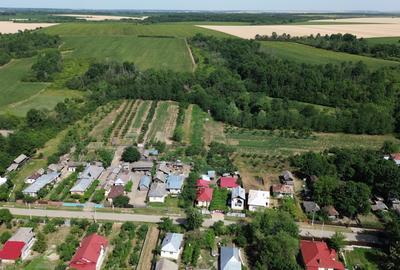 Casa la tara - confort de oras - langa Pitesti - 13
