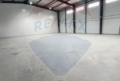 Spațiu industrial hala 572 mp de inchiriat - 6