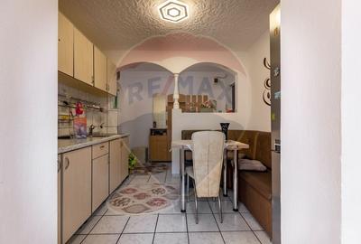 Apartament doua camere Vitrometan Medias - 8