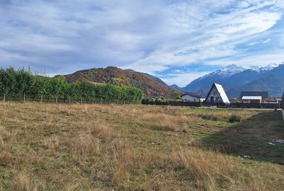 Teren 1000mp cu PUZ in Rasnov, Glajerie - 11