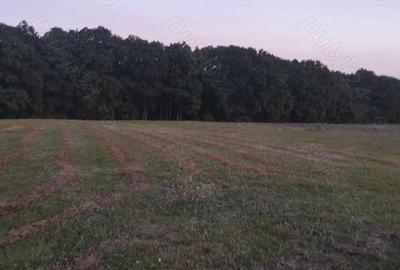 Teren de 6200 mp, în Popești