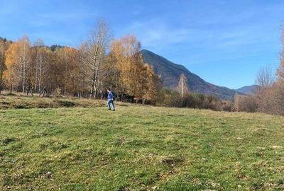 Teren de 1000 mp, în Bran - 2