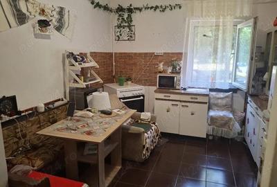 Apartament 2 camere Sagului de vanzare - 3