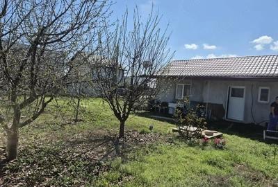 Teren de 380 mp, în Berceni