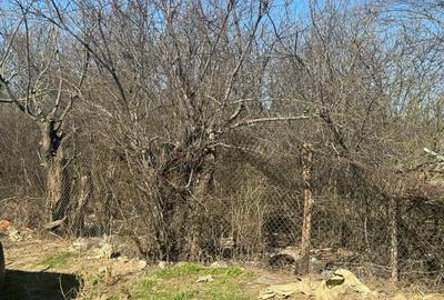 Teren de 1800 mp, în Piteasca - 12