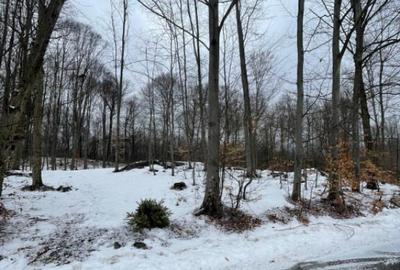 Teren de 3025 mp, în Central - 1