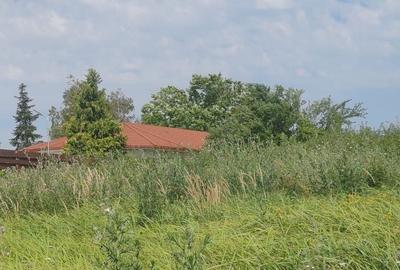Teren Snagov cu deschidere lac Teren Snagov cu deschidere lac - 4