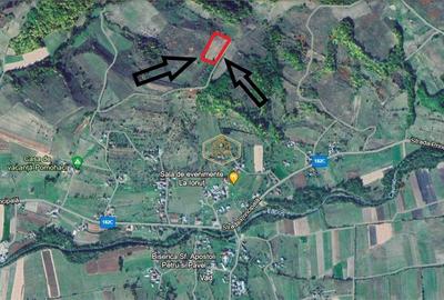 Teren Construcții extravilan de 9500 mp, în Sud - 13