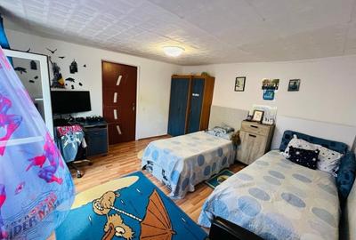 TEREN CU CASA BATRANEASCA, LA STRADA PRINCIPALA - 10