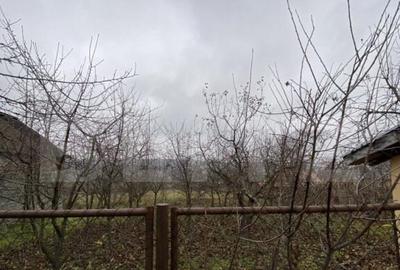 Casa cu anexe ?i 40 ari de gradina - 26