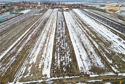 Teren de 6245 mp, în Dobolii de Jos - 2