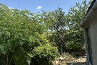 Casă cu 3 camere în Ghioroc - 3