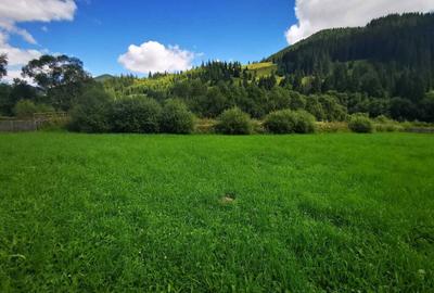 Spațiu comercial, în Ciocănești - 5