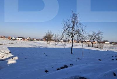 Casă cu 4 camere cu Teren 3404 Mp în Central - 10