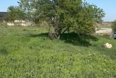 Spațiu comercial, în Măriuța - 1