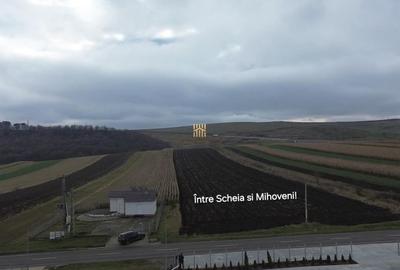 Teren de 14066 mp, în Mihoveni