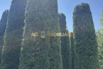 Casă cu 6 camere cu Teren 1000 Mp în Unirii - 3