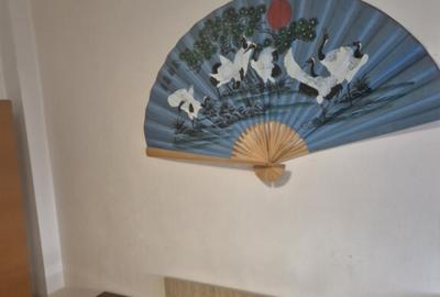 Apartament cu 2 camere semidecomandat în Unirii - 2