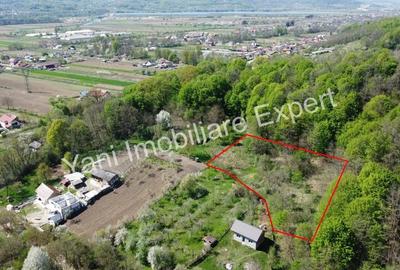 Teren de 1267 mp, în Băiculești - 9