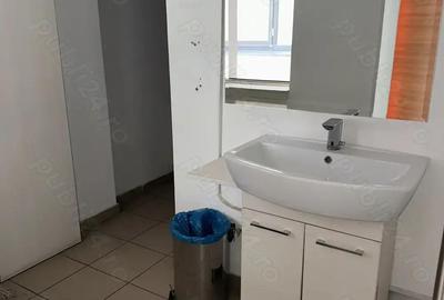 Theodor Pallady stradal birou 410 mp utili LIBER - 2